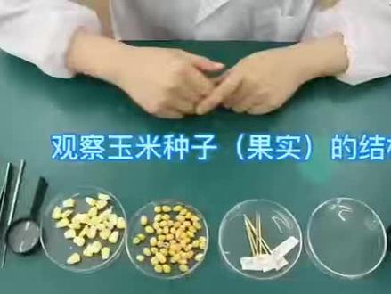 2026初中生物实验操作