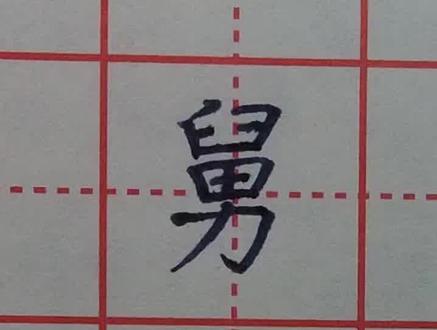 部编版小学语文五年级上册第26课的生字“舅、津”写法讲解