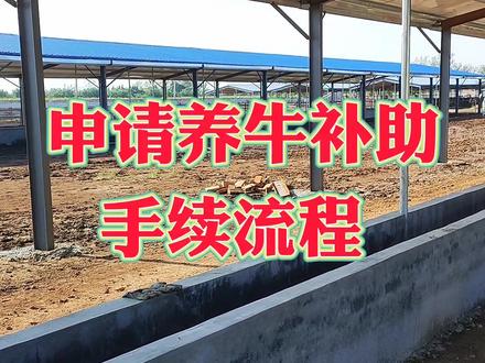 申请养牛补助手续流程。#养牛人的生活 #召唤我的神兽 #养牛知识 #唤醒你的第二人生 #西门塔尔牛养殖 #养牛致富奔小康 #西门塔尔基础母牛 #西门塔尔育肥牛 #年度大片放肆晒 #小母牛 #公牛母牛 #西门塔尔牛价格