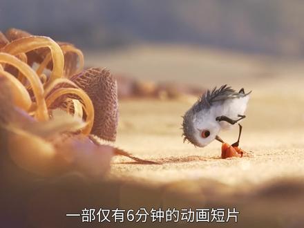 9.4分奥斯卡获奖动画《鹬》暖心且具有教育意义 #治愈系 #宅家dou剧场 #电影解说 #鹬