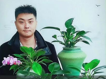 水培绿公主
绿公主又叫绿宝石,四季绿叶耐阴植物,养殖在散光处。
这种大叶片绿植不仅能装饰家居,还可净化环境,吸收空气中的有害气体。#甲醛#水培 #装饰 #养花