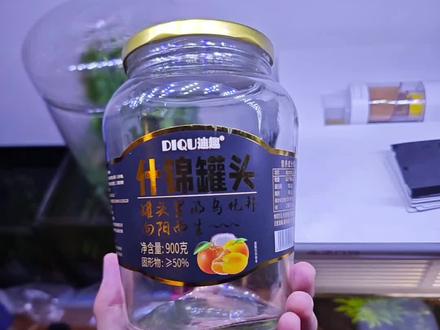 玻璃罐头瓶改造巴掌生态小鱼缸@#生态鱼缸 #养鱼 #水草缸