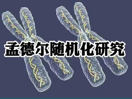 轻松拿捏SCI?不妨了解一下孟德尔随机化,轻轻松松带你飞~ #SCI #生信分析 #数据挖掘 #科研 #论文