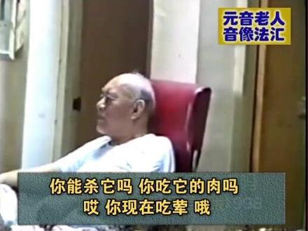 为什么要吃素?