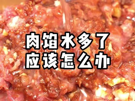 饺子馅打水过多了怎么办呐!#水饺技术 #餐饮创业项目 #东北饺子 #肉馅调制方法