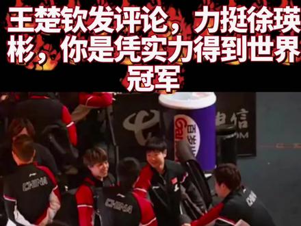 王楚钦发评论,力挺徐瑛彬,你是凭实力得到世界冠军1
