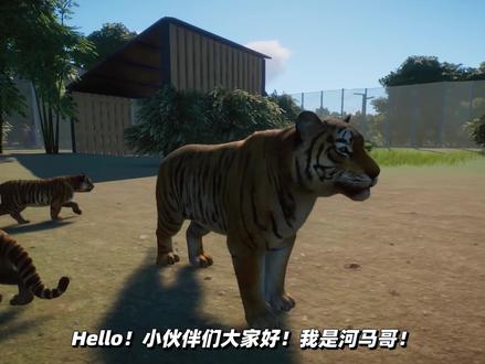 动物园之星02:为了锻炼河马,我把孟加拉虎放进它的栖息地