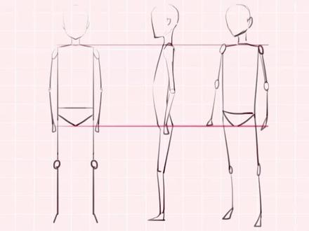 纸片人练人体
#画画 #绘画 #板绘 #绘画过程 #充能计划#元气绘画班