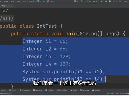 Integer 装箱小知识点 & 享元模式在其中的应用 & 有点意思🤣 #编程 #编程入门 #程序代码