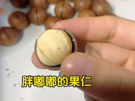 开夏威夷果非常轻松😉#夏威夷果 #好吃到停不下来 #果仁饱满 #零食推荐 #技巧分享