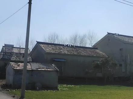 国产DH软尾,轻松吊打v10cc#dh山地车 #远古坠山车