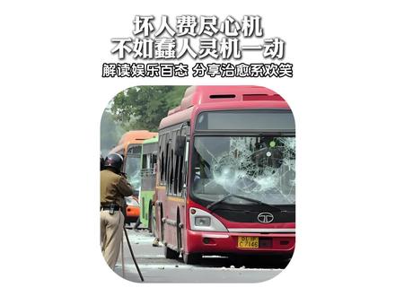 坏人绞尽脑汁,不如蠢人灵机一动#社会百态 #人物故事 #蠢人 #离谱 #搞笑