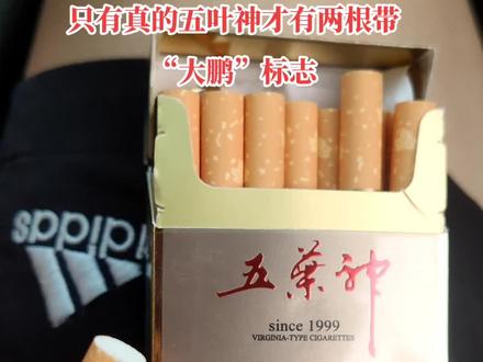 只有真的五叶神才有“大鹏”标志