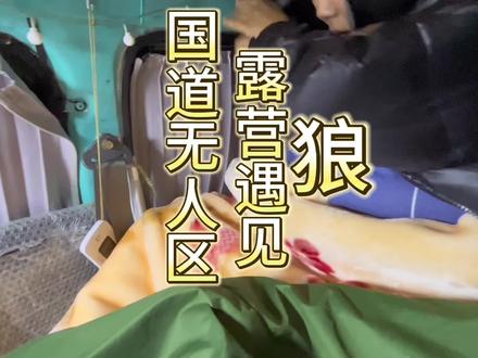 两女生露营国道旁可可西里,半夜尽然听见狼的叫声,吓得半夜连夜跑路#现在流行这样去西藏了吗 #西藏无人区 #