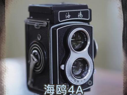 中国120双反相机的翘楚:海鸥4A系列相机#海鸥相机 #老相机