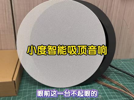 小度大金刚智能音箱改装吸顶音响,立体声效果,内置功放,aux 小度大金刚智能音箱改装吸顶音响,立体声效果,内置功放,aux音频输出,连接音响功放全屋智能语音控制#小度小度#智能音箱改装#音响改装升级