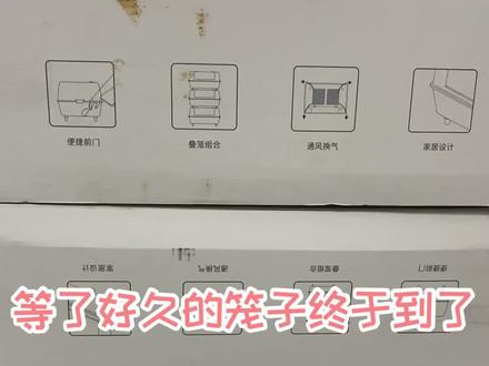 好激动,终于安排上透明笼子了 #仓鼠 #金丝熊 #日常 #萌宠 #萌宠出道计划