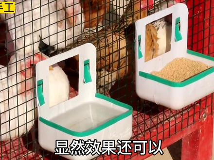 利用废旧的塑料桶,自制鸡食槽和饮水器,变废为宝,环保实用 #手工 #废物利用 #制作过程 #创意 #实用好物 #手工制作 #手艺人 #环保#手工diy #diy #制作不易