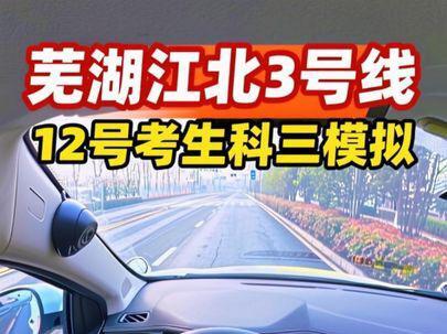 第一视角观看12号考生科三模拟现场 #科三考试 #直线行驶 #逢考必过