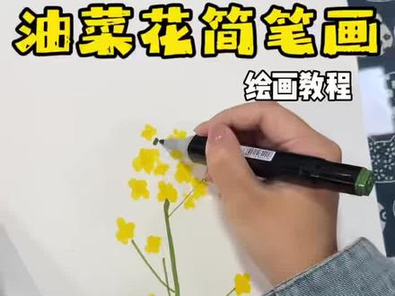 春天来了,一起来画油菜花吧~有手就会的小白也能轻松get到!
#画画教程 #马克笔手绘 #油菜花画画 #马克笔 #画画教程视频