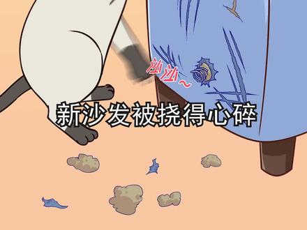 纠正猫咪错误行为大合集,家里猫咪咬人、乱尿、挠沙发的看过来!#轻漫计划 #萌宠出道计划 #萌知计划