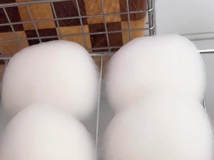 气温28度,2天做出来的霉豆腐。#豆腐乳 #霉豆腐 #霉豆腐制作 #毛豆腐#霉豆腐教程