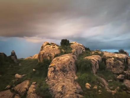 在东非塞伦盖蒂草原上,雌狮卡丽和三只幼崽尽享亲子时光#动物世界 #狮子 #动物纪录片 #动物科普