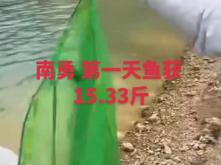 南勇 第一天鱼获#擒龙决#荒野求生#钓鱼 #挑战赛