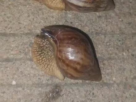 容县人注意了#容县 #广西