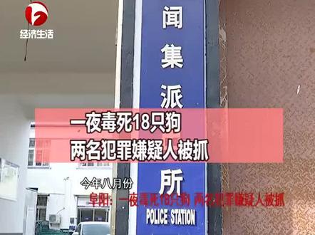 近日,阜阳市颍泉区以及颍上县等地,警方接到多起报警,称家里的狗一夜之间就不见了
