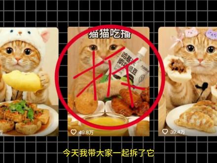 今天拆解的是-AI萌宠吃播如何制作的,直接1比1保姆级复刻全流程,视频主要讲述如何制作图片和视频,看看我是怎么制作的。萌宠吃播ai怎么做的,学会了吗?#ai创作浪潮计划 #ai教程 #宠物吃播 #2025AI年终大赏 #青年创作者成长计划