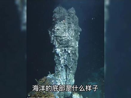 海洋的底部是什么样子?#涨知识 #我要上热门 #科普 #百亿流量扶持 #每天跟我涨知识