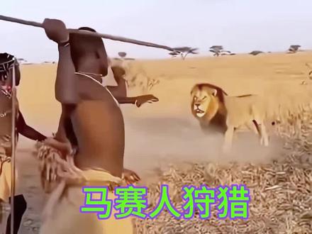 马赛人原始狩猎 #动物世界 #马赛人 #动物解说