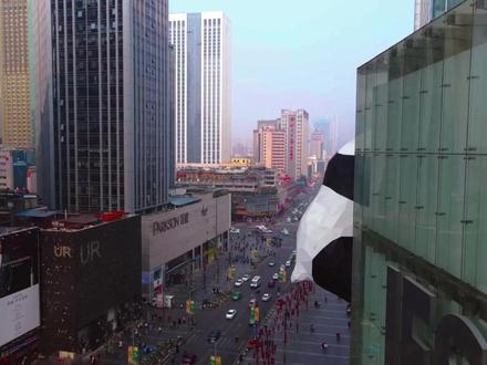 紫金矿业暴涨4.5%!隐形铜王崛起 #金融 #经济 #热门 #财经 #矿业