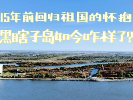 15年前回归祖国的怀抱,黑瞎子岛如今咋样了?#乌苏大桥 #黑瞎子岛 #黑瞎子岛湿地公园 #东极宝塔