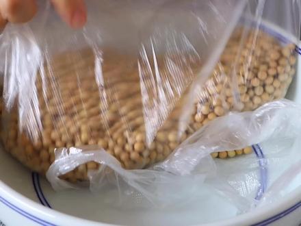 生豆芽还能这么简单,一个蒸屉就够了,一茬接一茬,再也不用买了