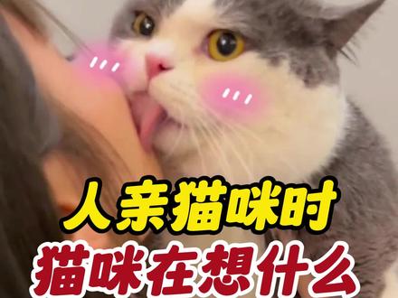你亲猫的时候,猫咪都在想什么?#亲猫咪时的反应 #猫咪 #萌宠出道计划 #我家傻猫 #猫咪的迷惑行为