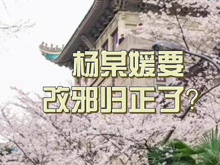 杨某媛要 改邪归正了? #伐柯财经