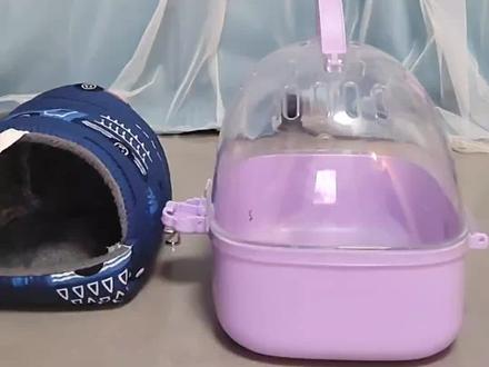 #鹦鹉 冬天到了,鹦鹉很怕冷,今天分享不用电子加热设备,给鹦鹉做一个温暖的睡窝。