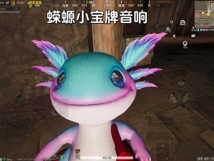 给蝾螈小宝当音响用#古墓迷途 #蝾螈小宝 #打歌舞