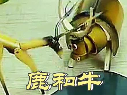 难得一见的竹偶动画片你看过吗?