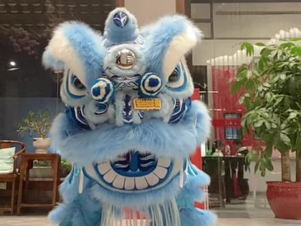 基础动作教学#醒狮文化 #醒狮 #醒狮表演 #非遗文化传承 #舞獅