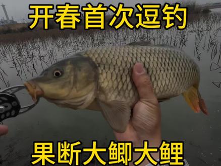 这漂相漂亮,今年的逗钓有意思了。#野钓 #泡沫逗钓 #原来钓鱼才是抖音运动顶流 #钓鱼的乐趣只有钓鱼人懂 #钓鱼