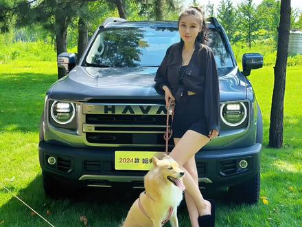 2024款哈弗大狗,“以狗会友”的一天!#2024款哈弗大狗 #潮玩旅伴以狗会友