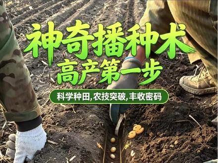要想产量高 必须严格把控 #新农人计划 #幸福乡村春耕季 #高产