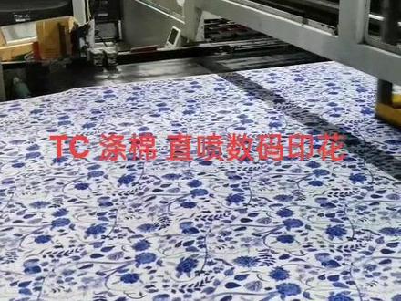 涤棉 涤麻混纺 竹纤维 专业直喷数码印花 色牢度 色彩鲜艳度 非常欧克#印花面料 #创业