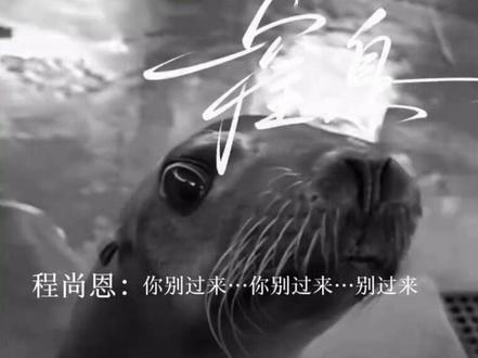 虐虐的很安心#段亦然 #程尚恩 #窒息 #虐 #海狮