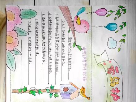 爱鸟护鸟小学生#手抄报 #能量计划