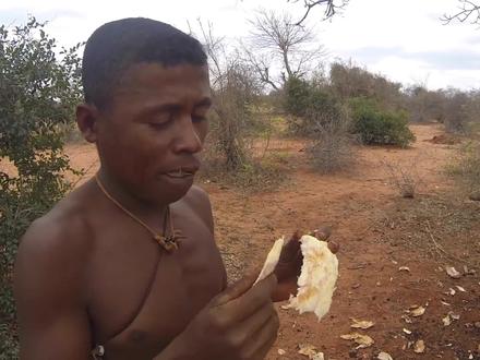种一棵猴面包树,全家吃喝住再也不用愁了 #植物