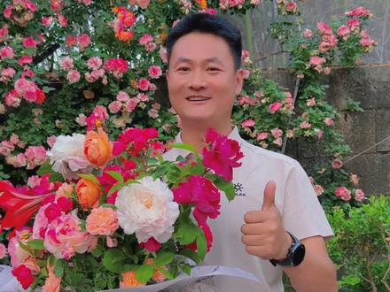 母亲节的特殊礼物,0元钱为母亲准备的鲜花 #特别的花给特别的妈妈 #母亲节 #欢迎到此赏花 #蔷薇 #月季玫瑰
